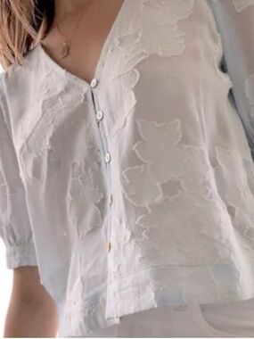 Wilfred Light Blue Floral Embroidered Button-Front crop top